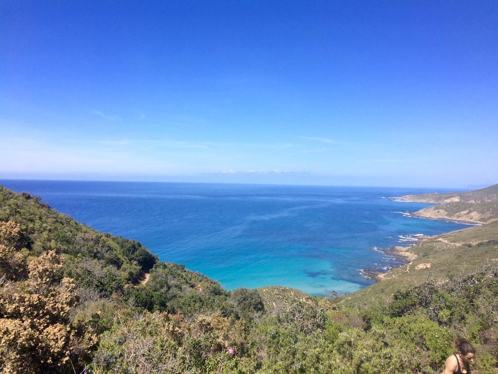 Calvi Appart Hotel Екстериор снимка